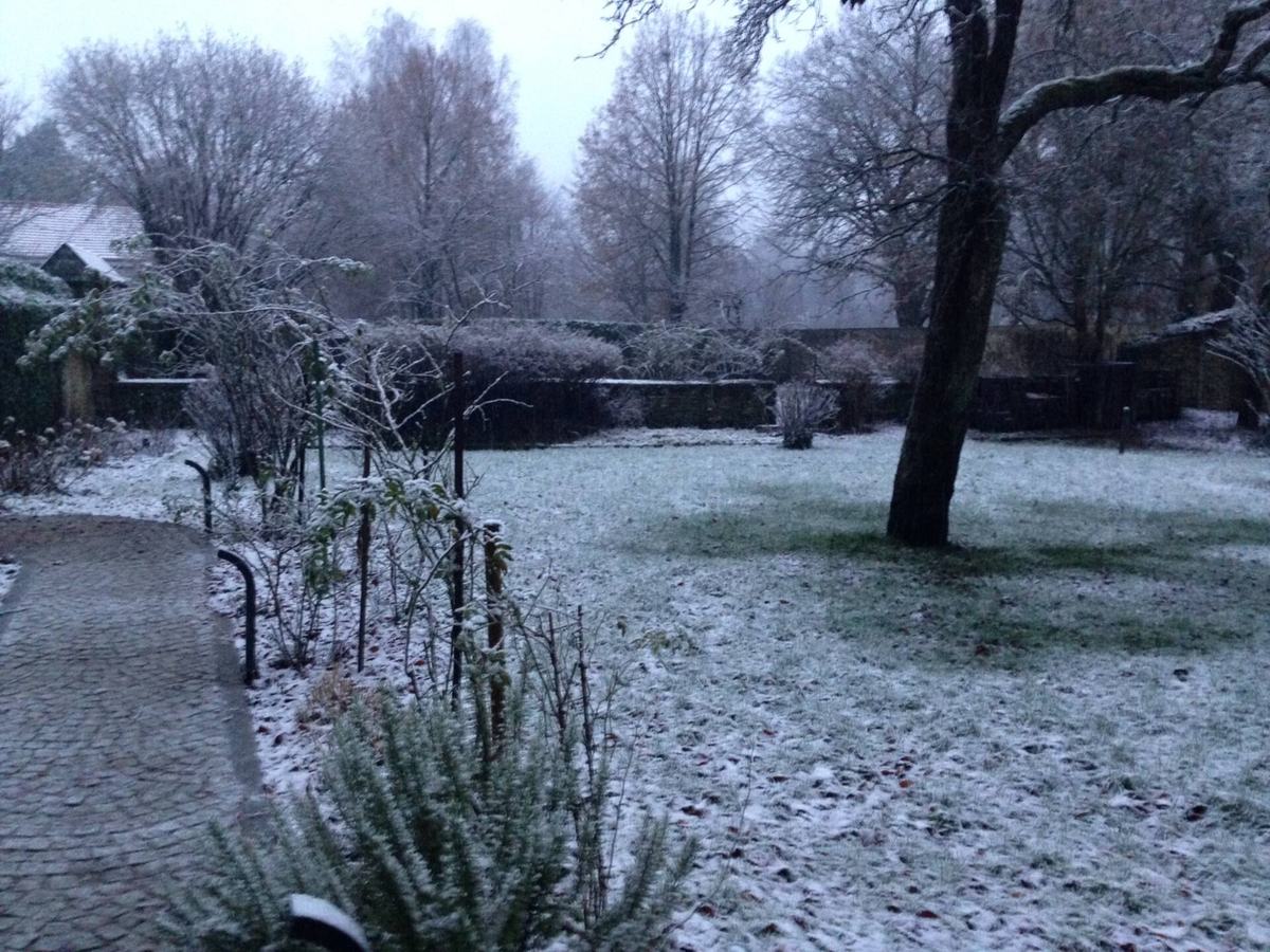 Le jardin sous la neige : pelouse blanche, arbres nus et mur de pierre.