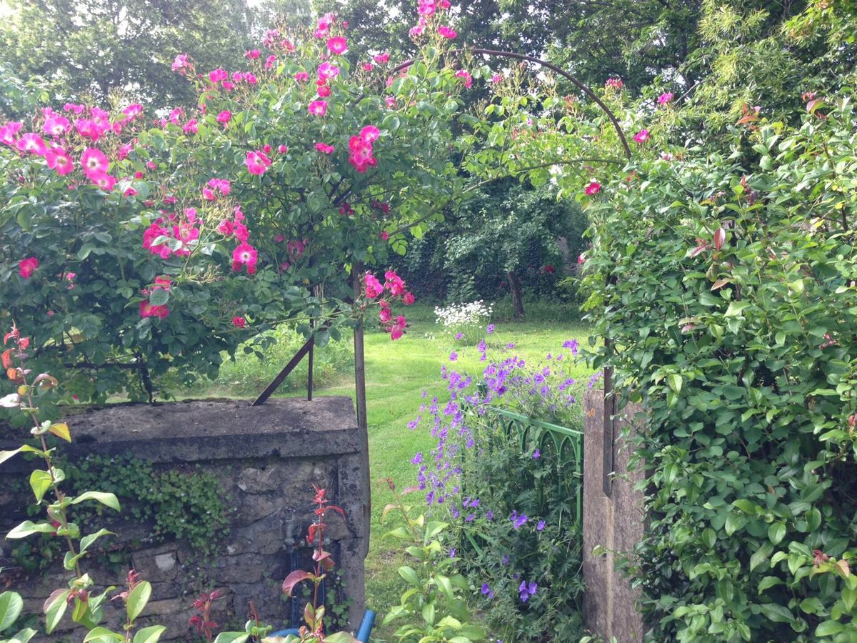 Une arche de rosiers roses au fond du jardin, devant un muret de pierre et des massifs.