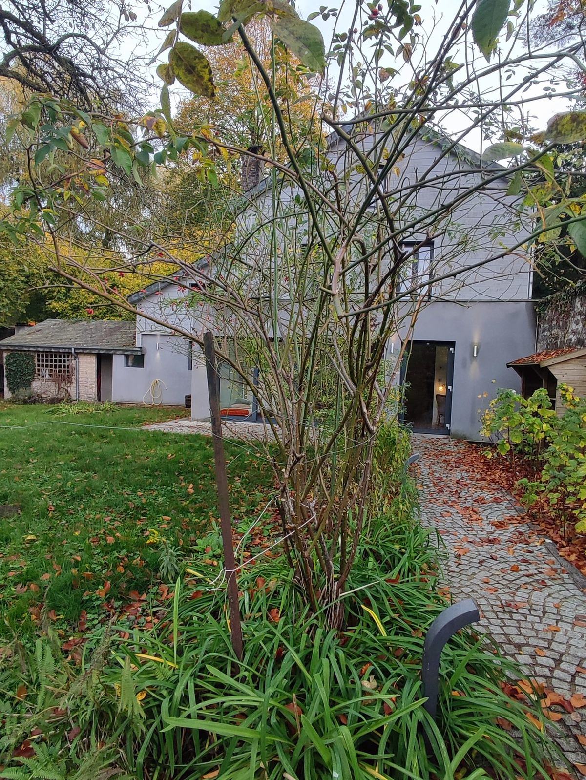 La maison vue du jardin en automne, allée pavée et dépendance au fond.