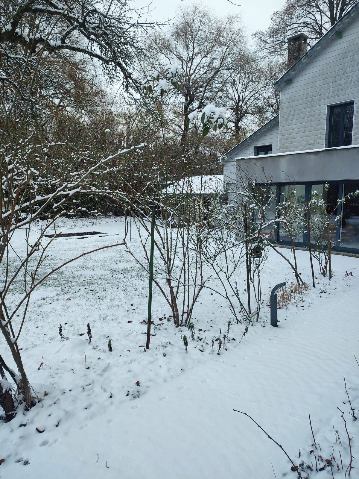 Le jardin et la maison sous la neige.