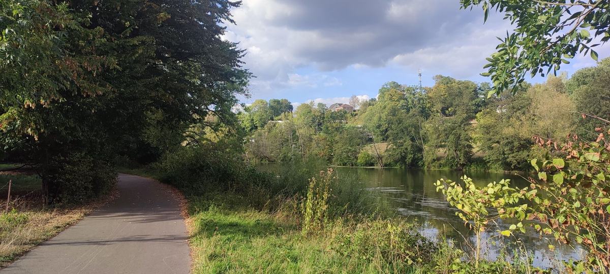 La Voie Verte qui s’éloigne le long de la Meuse, sous les arbres, avec la rive boisée en face.