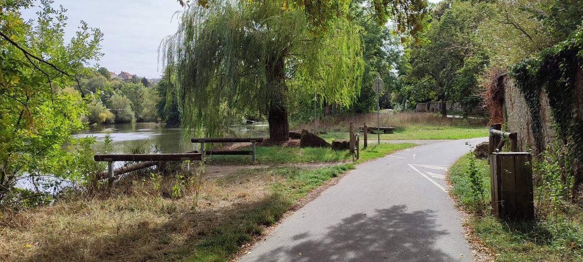 La Voie Verte au bord de la Meuse : la piste goudronnée, un saule pleureur, des bancs et un mur de pierre.